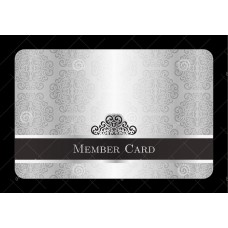 Savvy Silver Membership