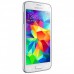 (A) Samsung Galaxy S5 Mini